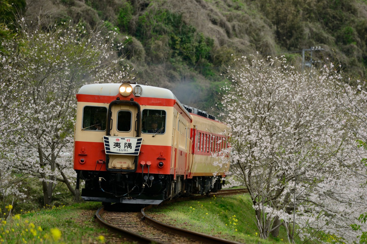 2013.3.30　いすみ鉄道　Nikon D800E