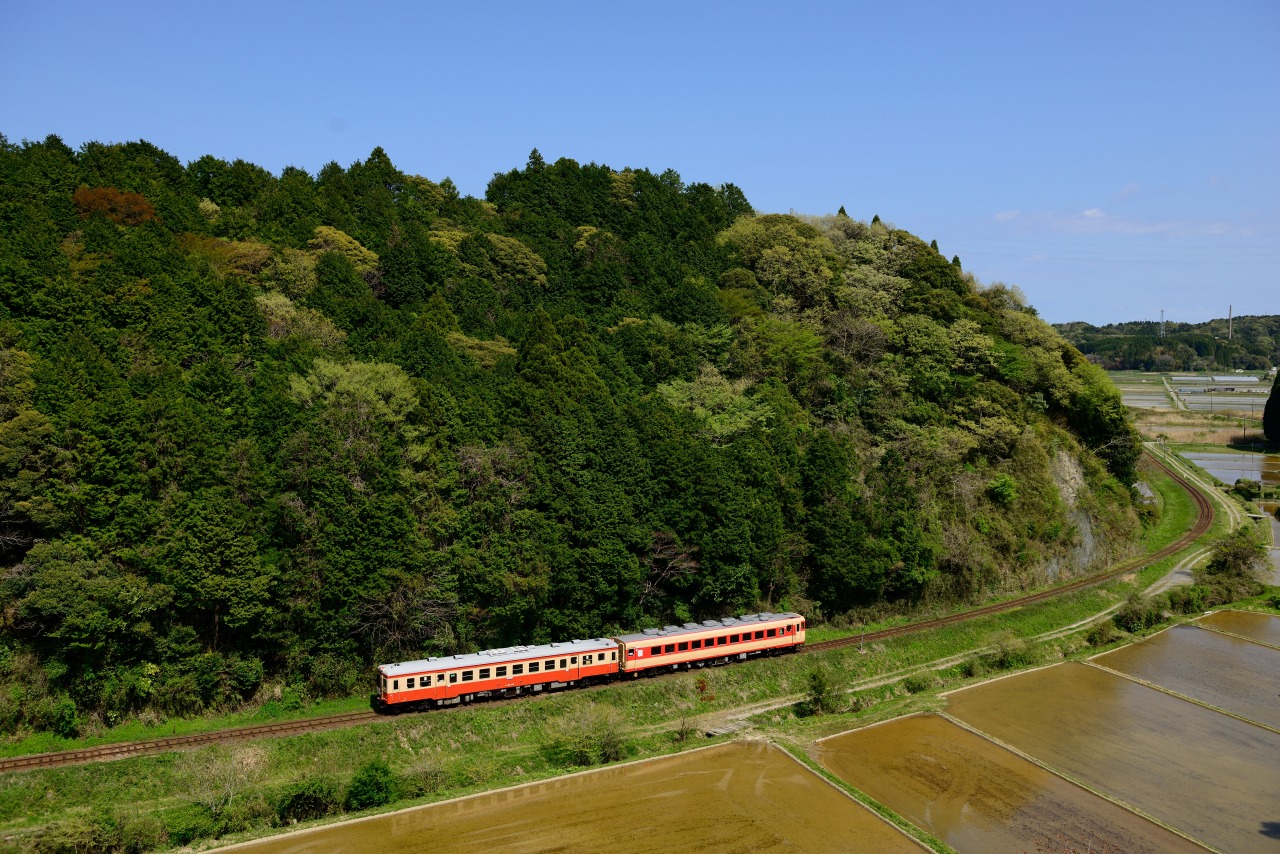 2013.4.13　いすみ鉄道　Nikon D800E