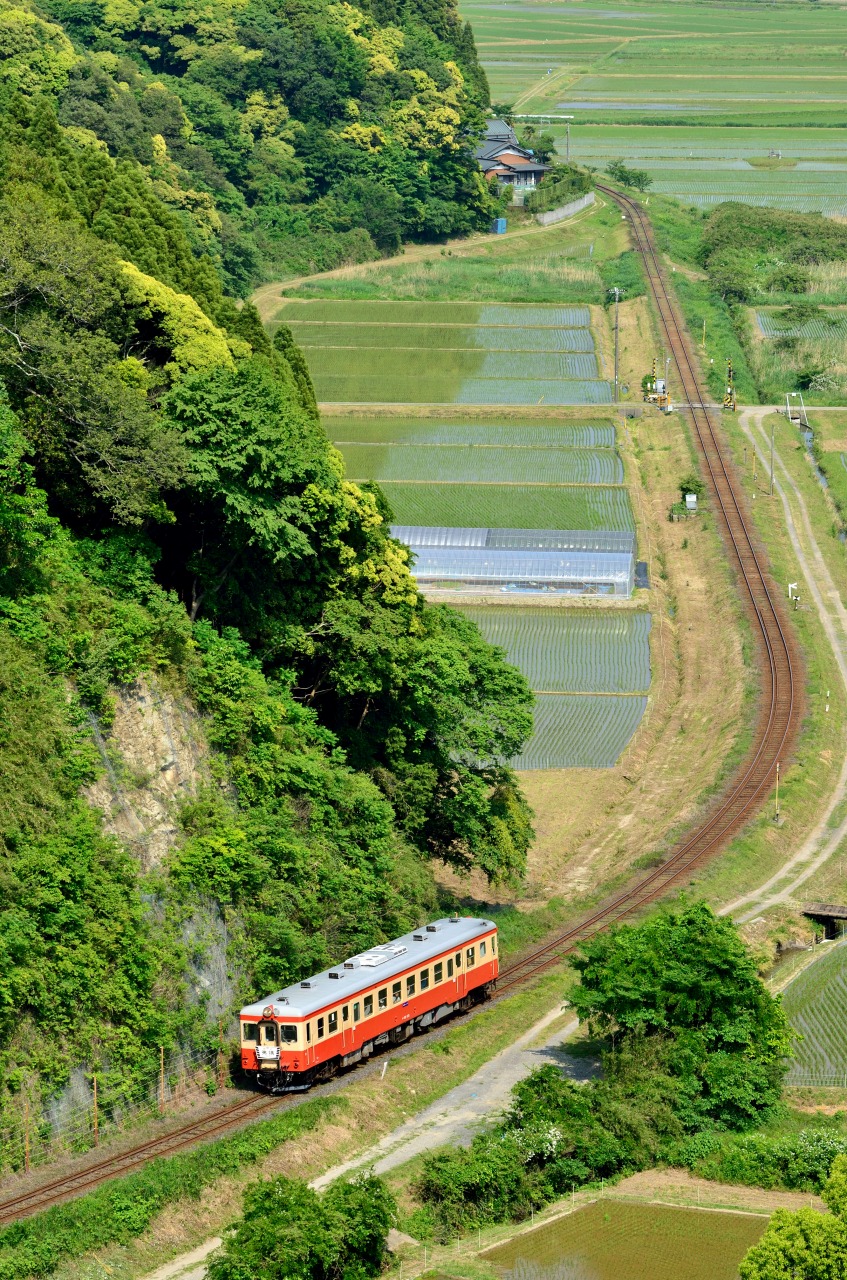 2012.5.19　いすみ鉄道　Nikon D7000