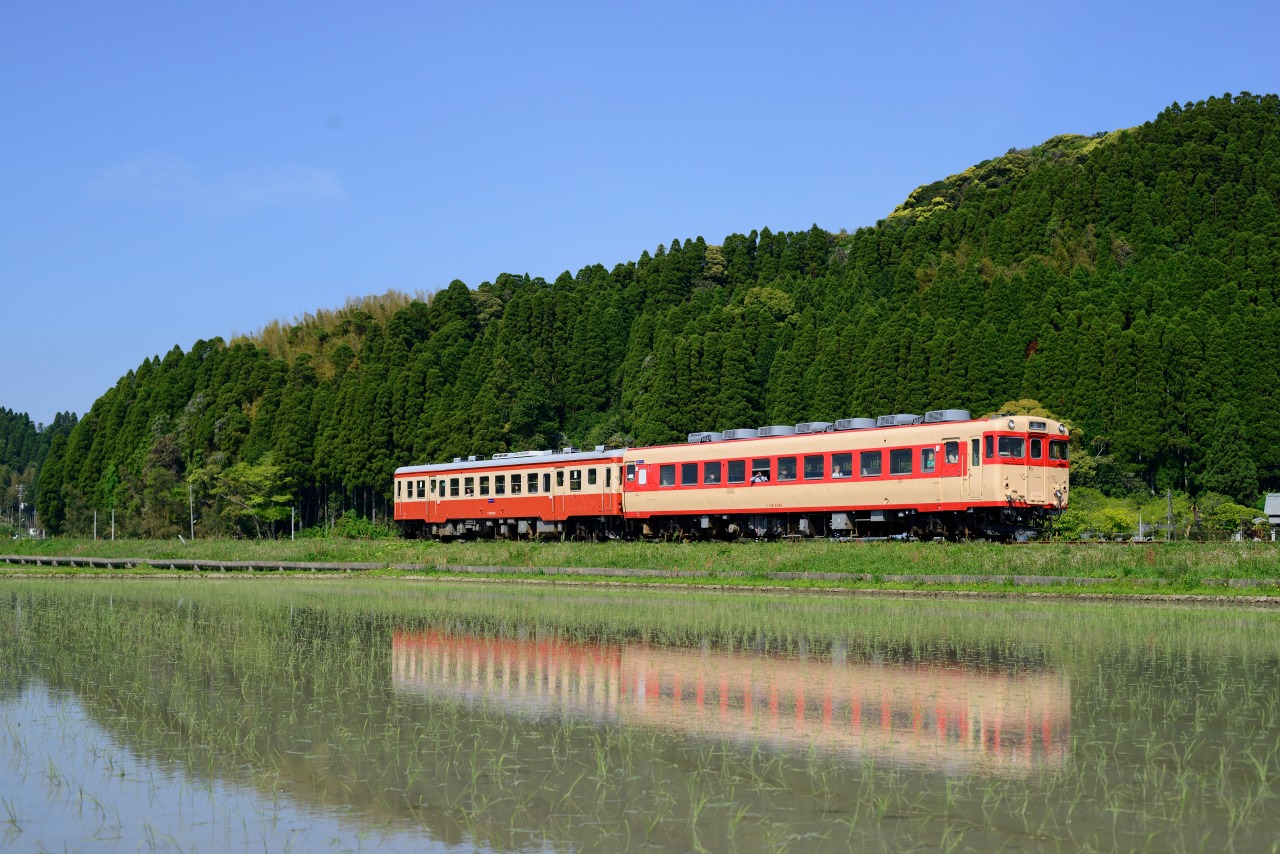2013.4.29　いすみ鉄道　Nikon D800E