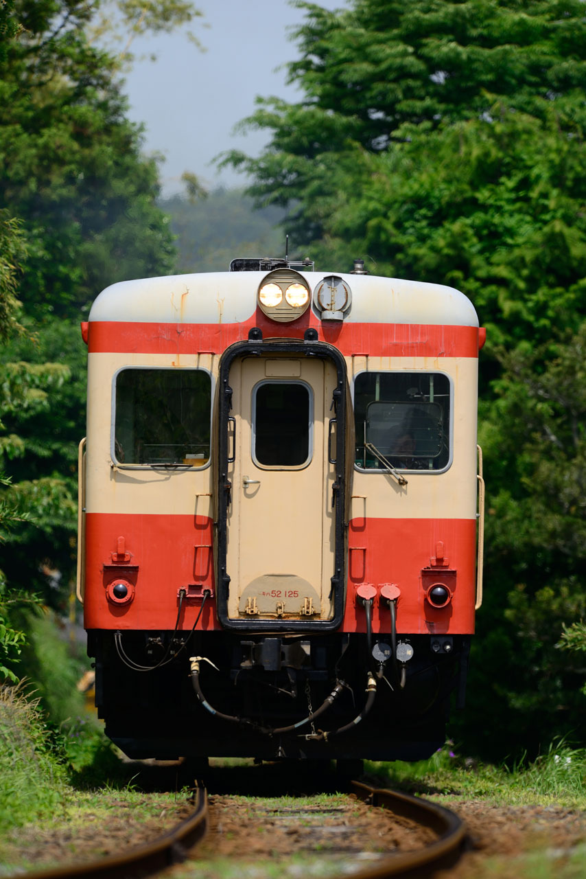 2013.6.1　いすみ鉄道　Nikon D800E