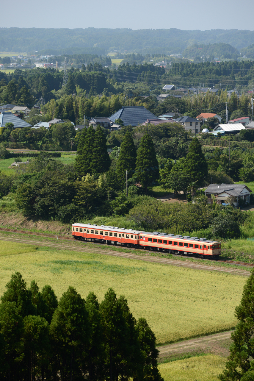 2013.8.16　いすみ鉄道　Nikon D800E