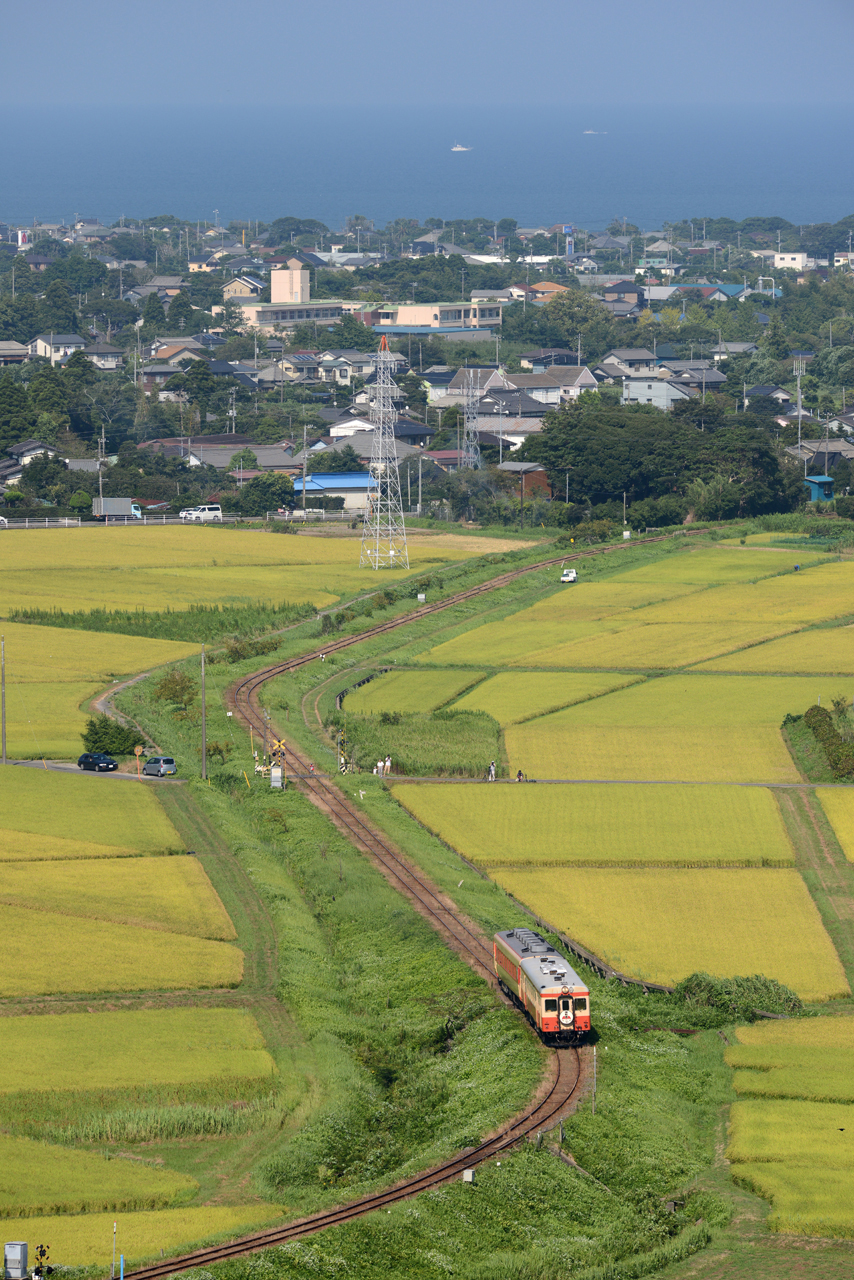 2013.8.16　いすみ鉄道　Nikon D800E