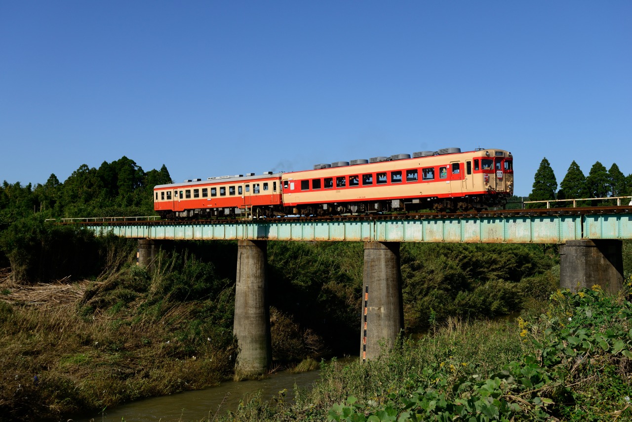 2013.10.27　いすみ鉄道　Nikon D800E