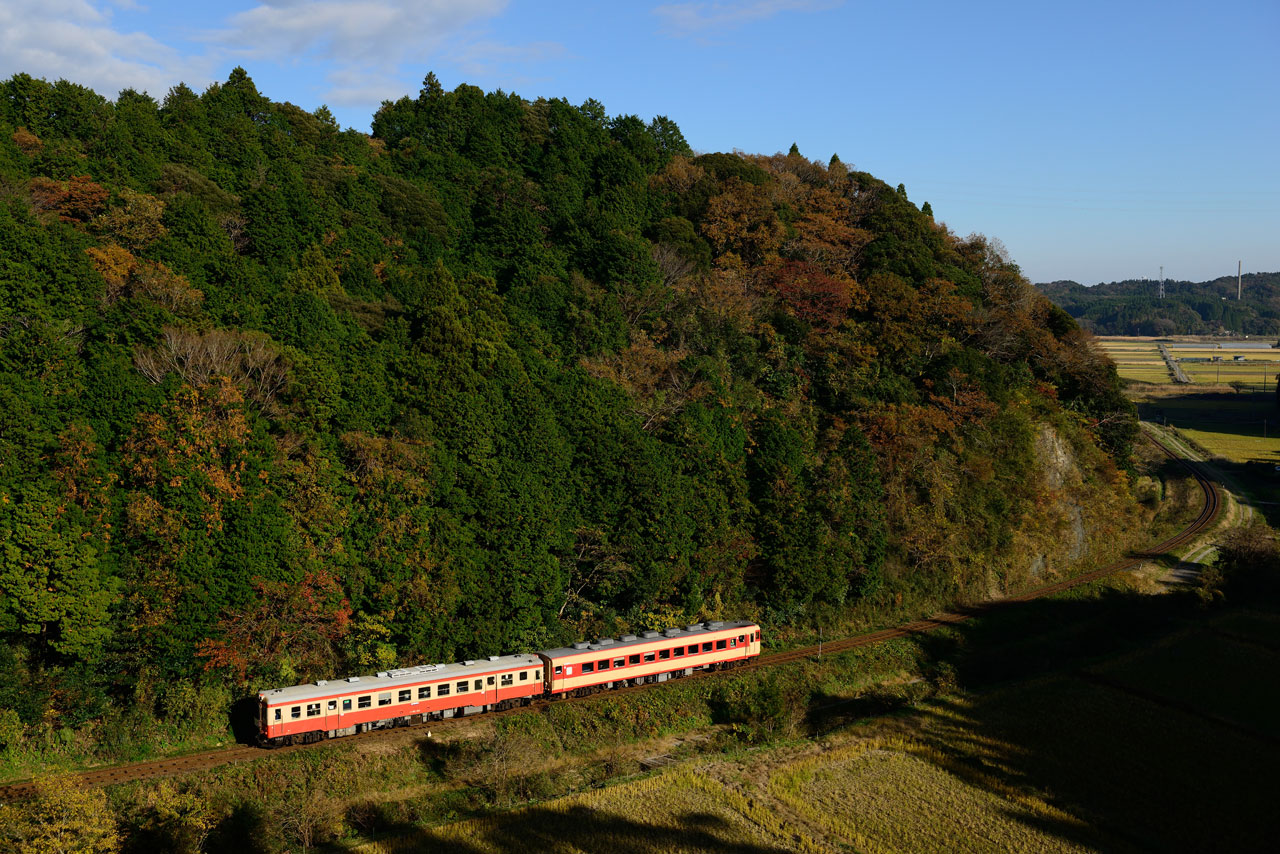 2013.11.30　いすみ鉄道　Nikon D800E