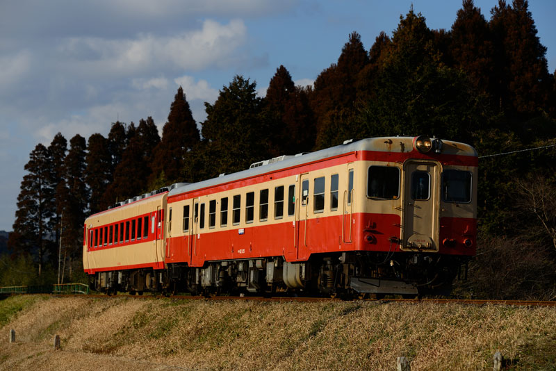 2014.1.13　いすみ鉄道　Nikon D800E