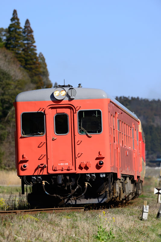2014.3.22　いすみ鉄道　Nikon D800E