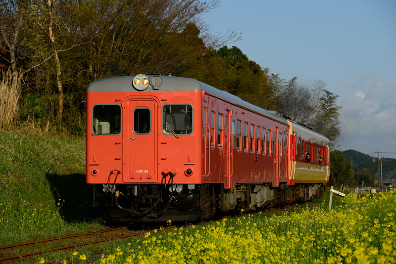 2014.4.5　いすみ鉄道　Nikon D800E