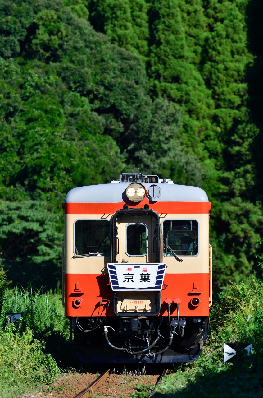 2011.9.18　いすみ鉄道　Nikon D7000