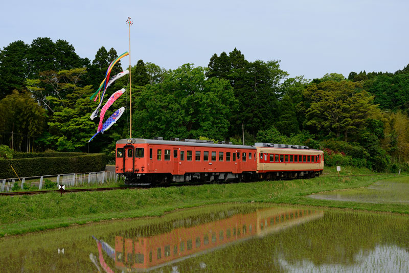 2015.5.6　いすみ鉄道　Nikon D800E 