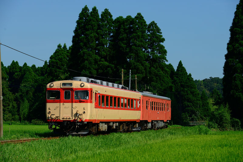 2015.7.20　いすみ鉄道　Nikon D800E