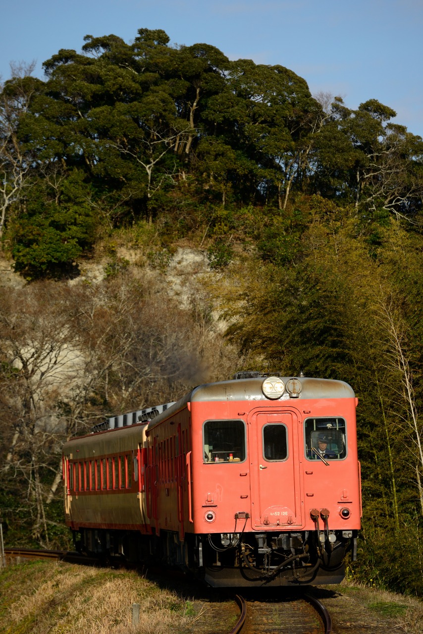 2016.1.11　いすみ鉄道　Nikon D800E
